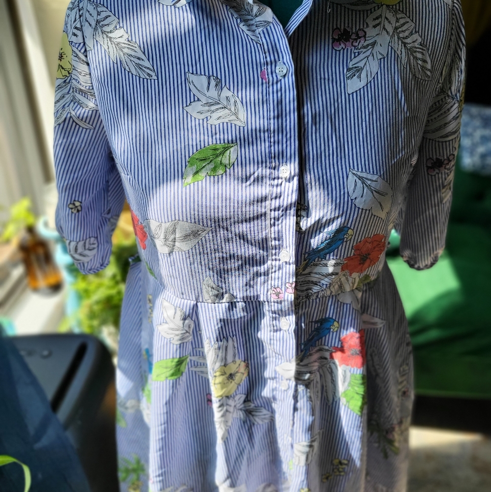 Striped Floral Button-Front Shirt Dress with Bird Print - Blue/White - Picture 2 of 4